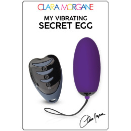 My Vibrating Secret Oeuf...