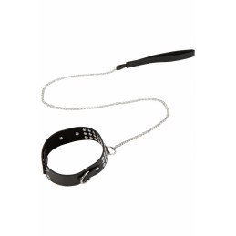 Collier Rivets Et Laisse...